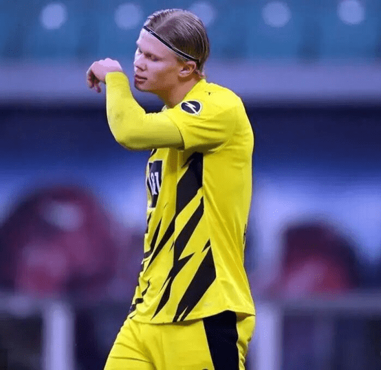  多特蒙德青春风暴席卷，德甲豪门格局生变  